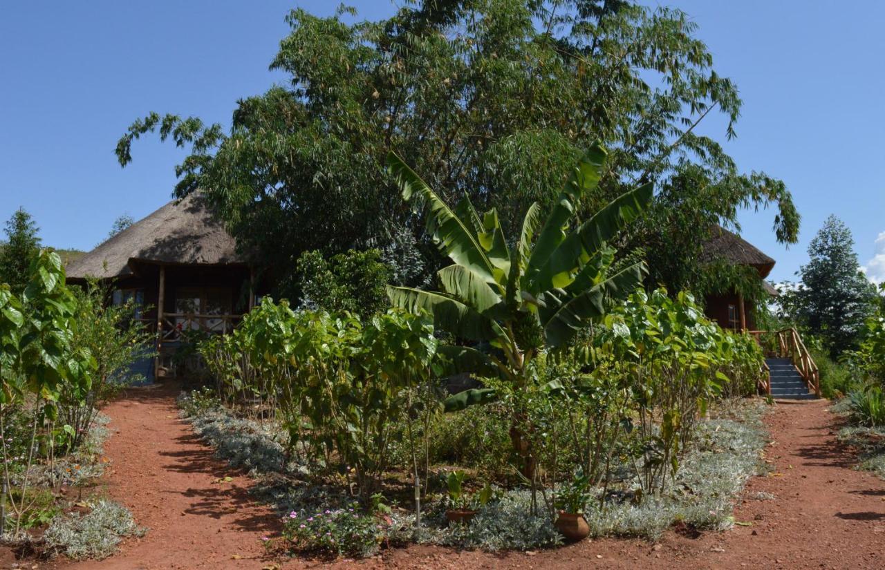 Rutete Eco Lodge Rwinkwavu Экстерьер фото