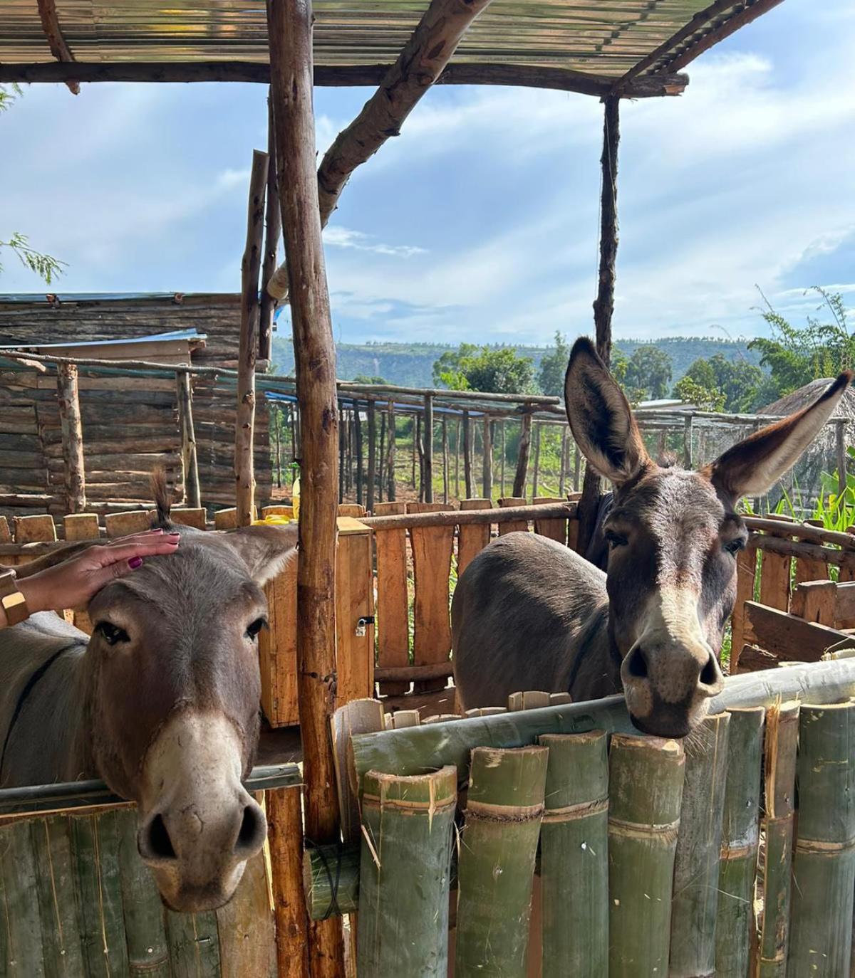 Rutete Eco Lodge Rwinkwavu Экстерьер фото